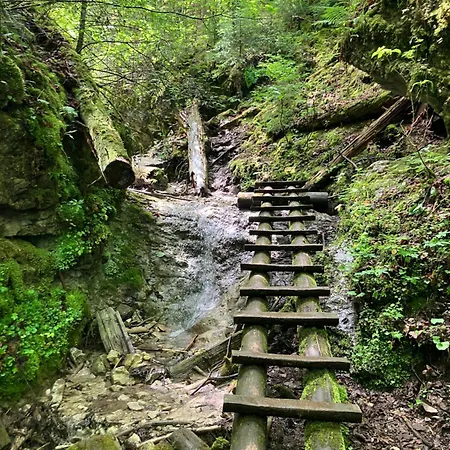 Apartamento Hacienda B Dedinky